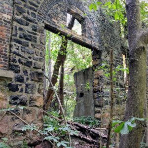 Photo of and abandoned building with trees and other plants growing through it.
