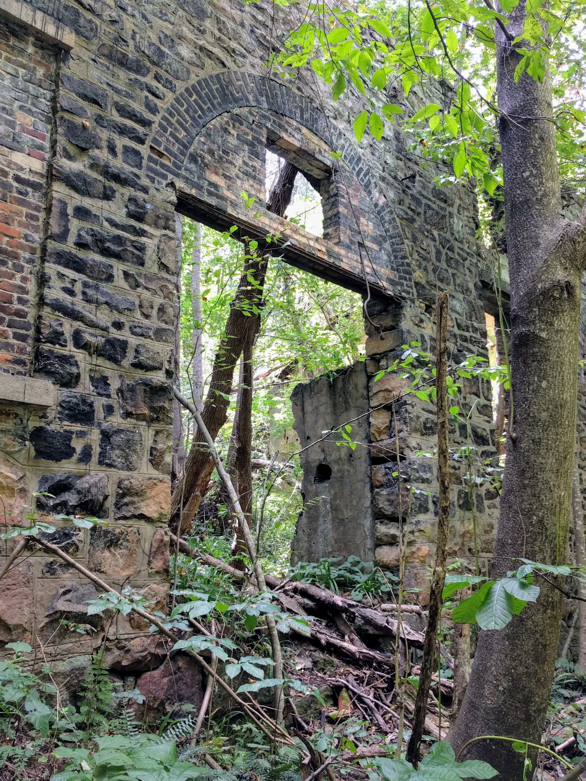 Photo of and abandoned building with trees and other plants growing through it.