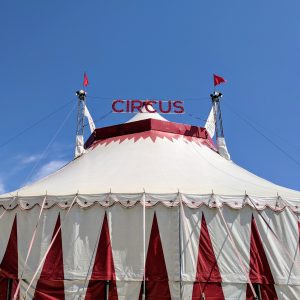 Photo of a circus tent against a blue sky.