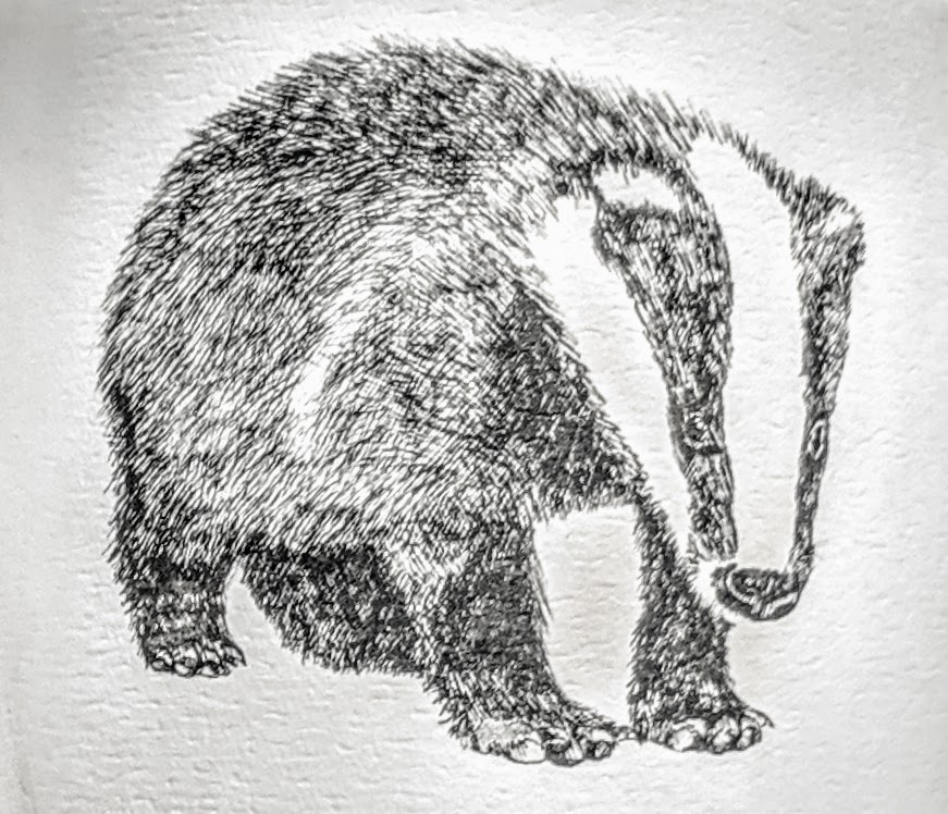 Black and white sketch of a badger.