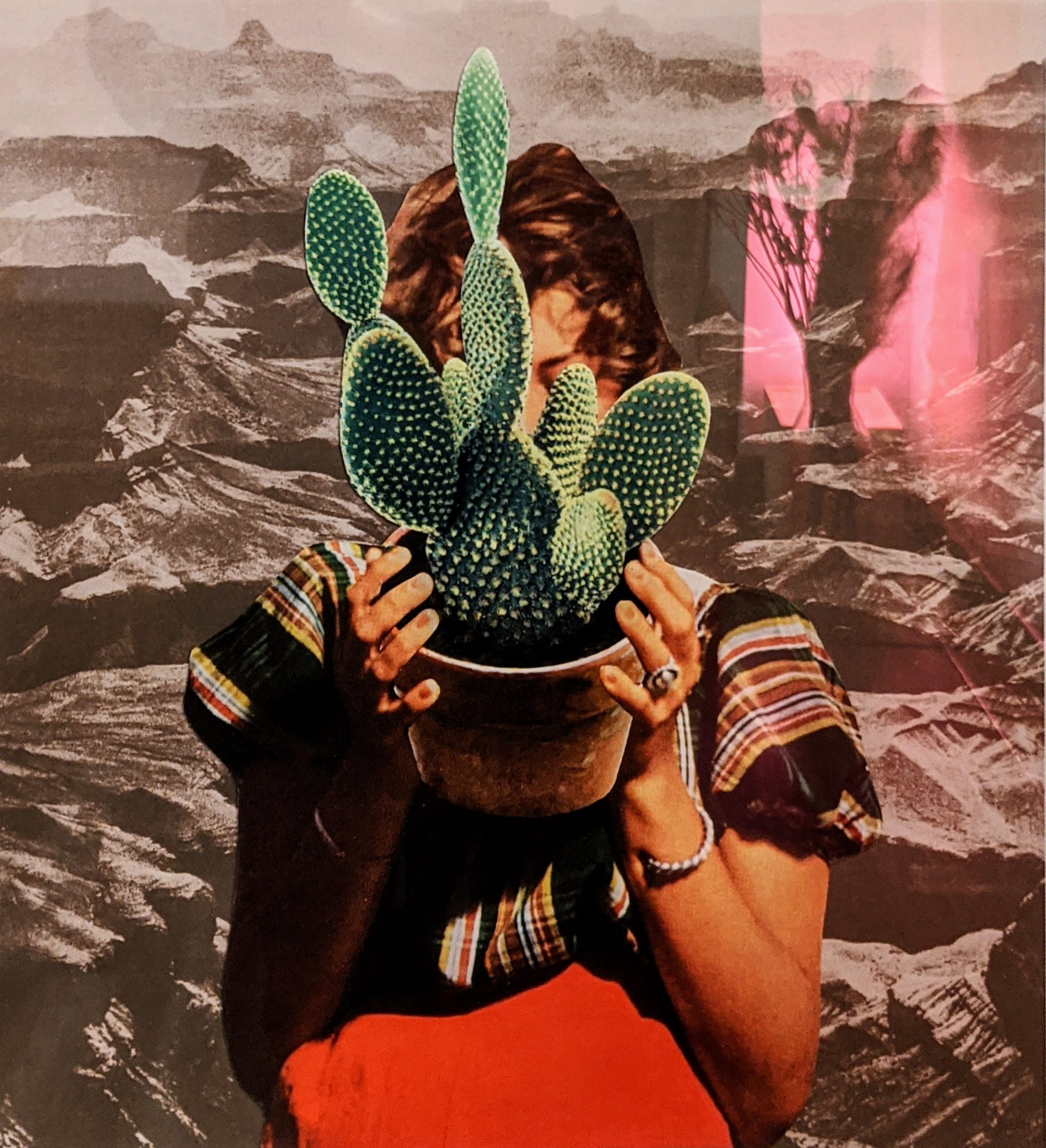 Print of a woman holding a cactus in a pot.